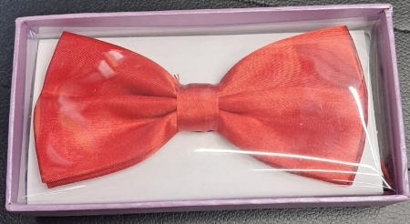 Small Bow Tie